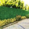 GRASS FENCE (4FT) - Image 4