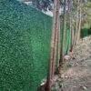 GRASS FENCE (4FT) - Image 6