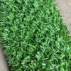GRASS FENCE (4FT) - Image 3